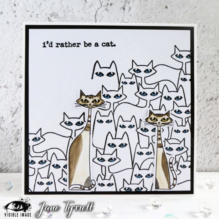 cat tastic card by jane
